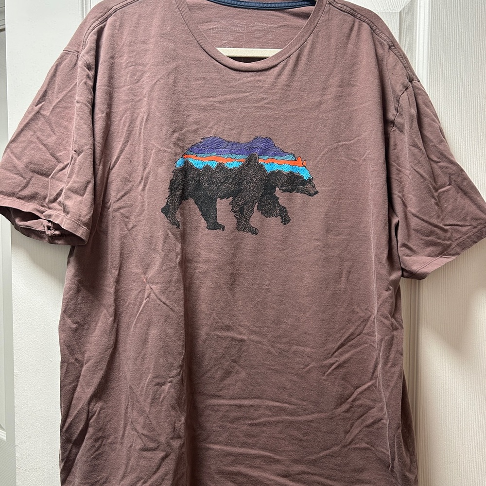 Patagonia Brown Graphic T-Shirt